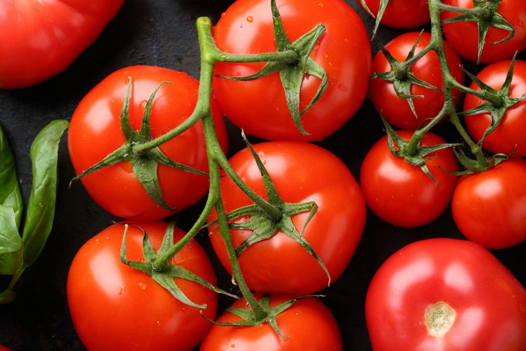 سر في الطماطم يقلل خطر الإصابة بارتفاع ضغط الدم