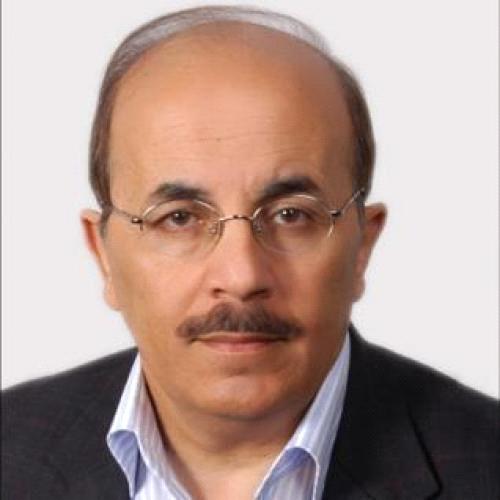 الصبيحي يكتب: الحكومة مصرة على استفزاز وتحدي مشاعر الاردنيين
