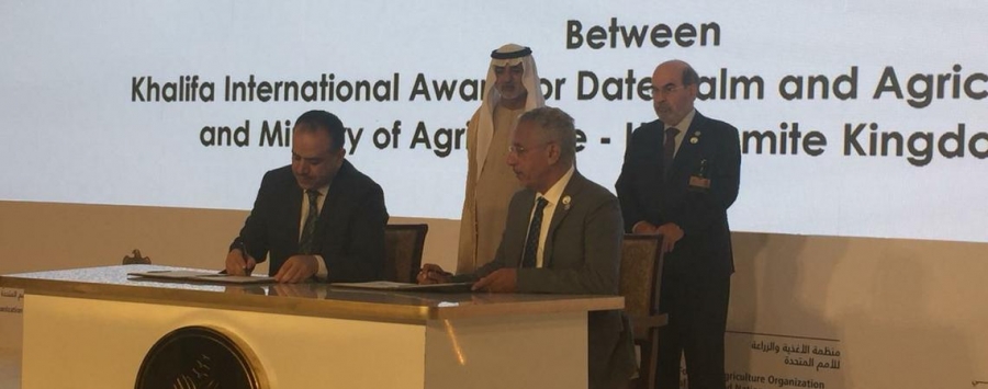 الحكومة توافق على اقامة المهرجان الدولي الثاني للتمور الاردنية 2019 بدولة الامارات العربية