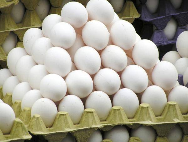 السعودية توقف استيراد البيض من الأردن