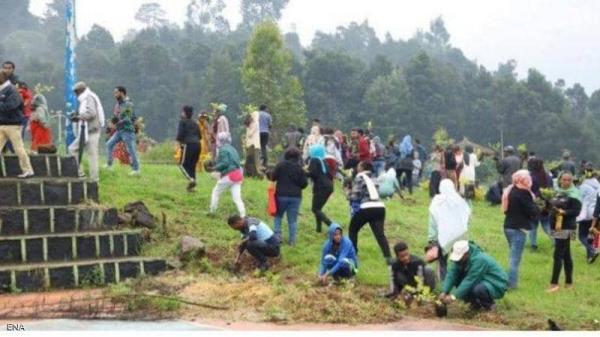 رقم قياسي .. إثيوبيا تزرع 224 مليون شجرة في يوم واحد