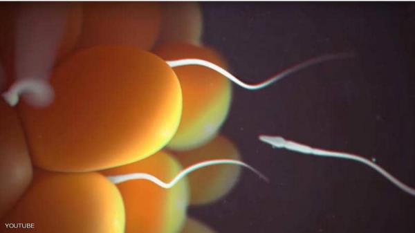 علماء يكتشفون سر تحديد جنس الجنين لأول مرة