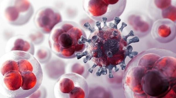 علماء بالإمارات يعيدونعلاجا بكتيريا مثيرا للجدل ضد السرطان