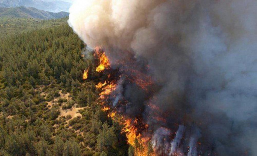 حريق اشجار بمساحة 15 دونما في عجلون