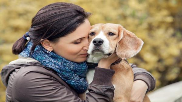 دراسة: الكلاب تعاني من مشاكل نفسية تحاكي أمراض مالكيها