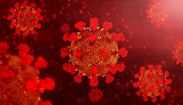العلماء يكتشفون نقطة ضعف فيروس كورونا