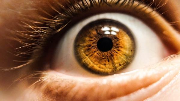 ابتكار شبكية هجينة حيوية لعلاج الضمور البقعي المؤدي للعمى