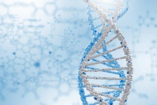 جينات بشرية مرتبطة بالإصابة بعدوى حادة من كورونا