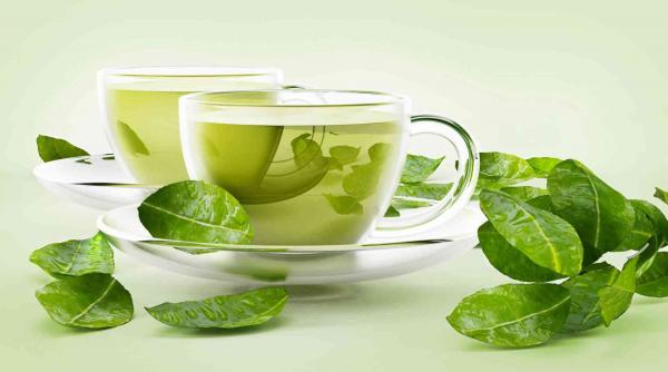 الشاي الأخضر يحمي من مرض خطير