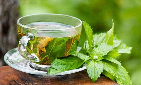 الشاي الأخضر .. كنز من الفوائد الصحية لإنقاص الوزن