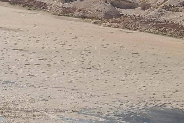 جفاف في سد الموجب
