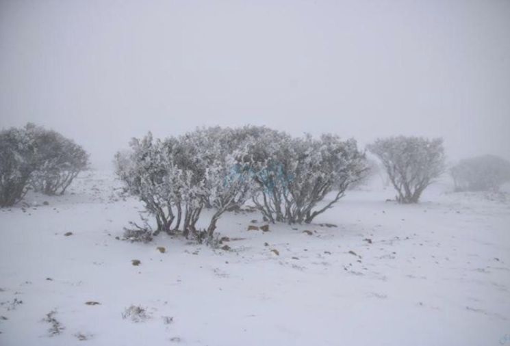 المنخفض القطبي الأبرد منذ 7 سنوات يؤثر على بلاد الشام والعراق ومصر والسعودية