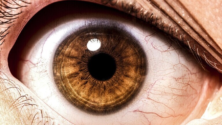 طبيب روسي: حالة العين تكشف أوضاع أعضاء الجسم الأخرى