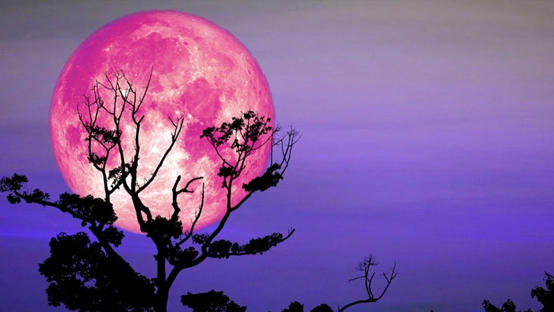 القمر الوردي يُزين سماء الاردن والعالم مساء السبت