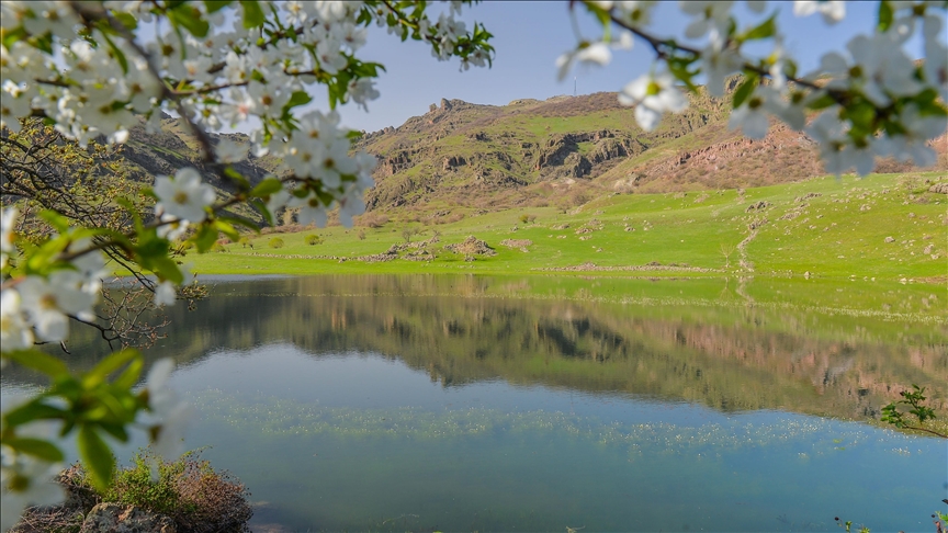 تونجلي التركية.. بحيرة سولوكلو تتزين بأزهار الربيع