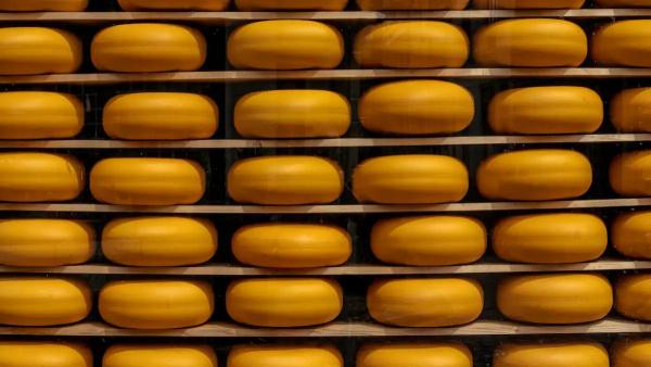 سرقة 230 كيلوغراما من الجبن من شاحنة في ألمانيا