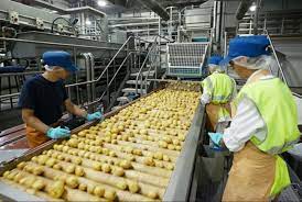 منتجون: تخفيض تكاليف الإنتاج يعزز تنافسية قطاع الصناعات الغذائية