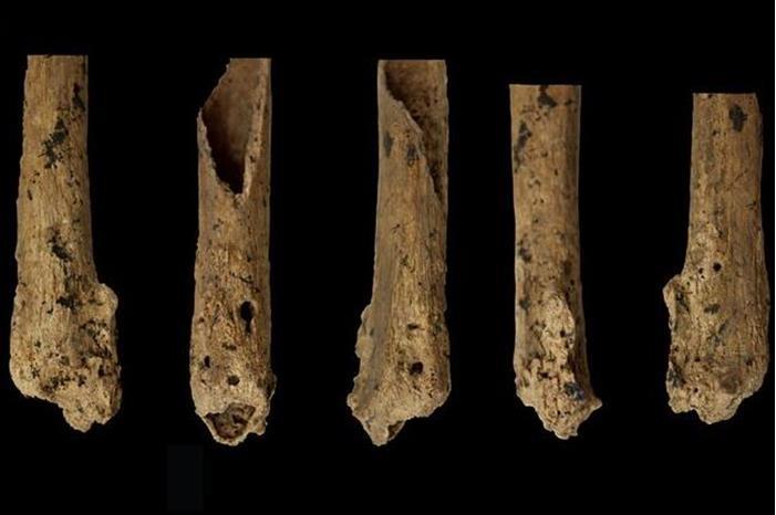 هيكل عظمي يكشف مفاجأة عمرها 31 ألف عام