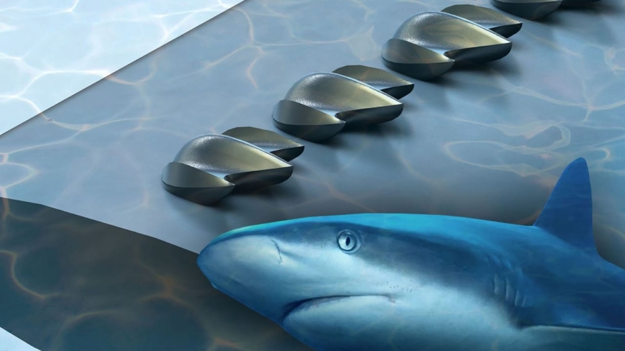 جلد سمك القرش يحد من استهلاك وقود الطائرات