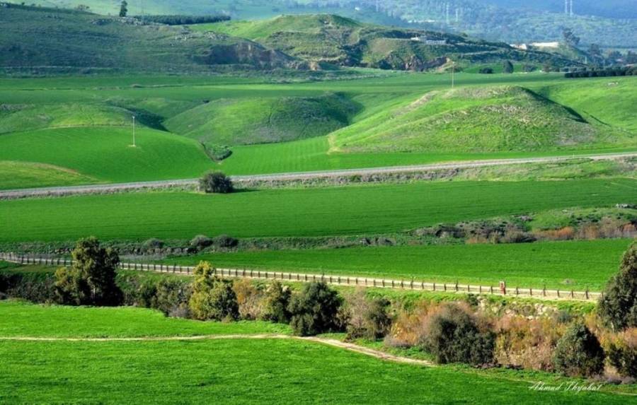 3 أعوام على استعادة الباقورة والغمر