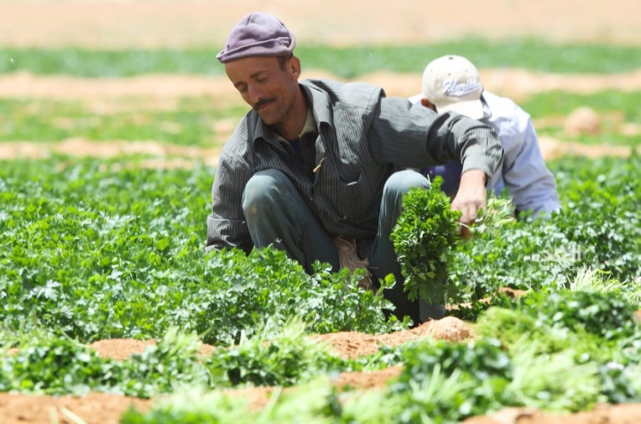 إشهار جمعية الأعمال الزراعية الأردنية