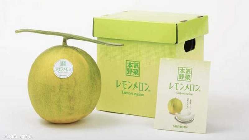 شركة يابانية تطور ثمرة جديدة تدعى بطيخ الليمون