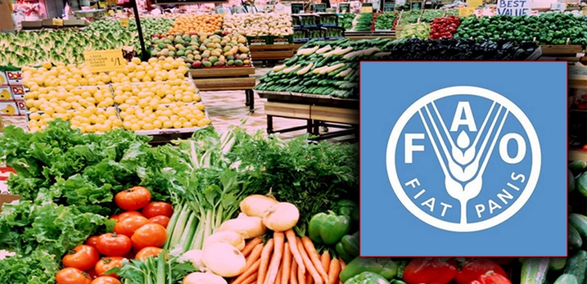 فاو: مؤشر أسعار الغذاء العالمية يسجل تراجعا معتدلا في تشرين الأول