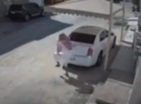 فيديو متداول لشاب يتعرض إلى لدغة ثعبان اثناء خروجه من منزله