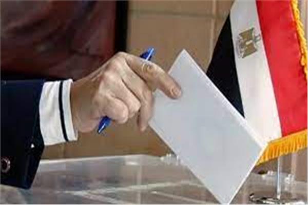 تفاصيل رصد أول حالة قامت بالتصويت مرتين في الانتخابات الرئاسية المصرية
