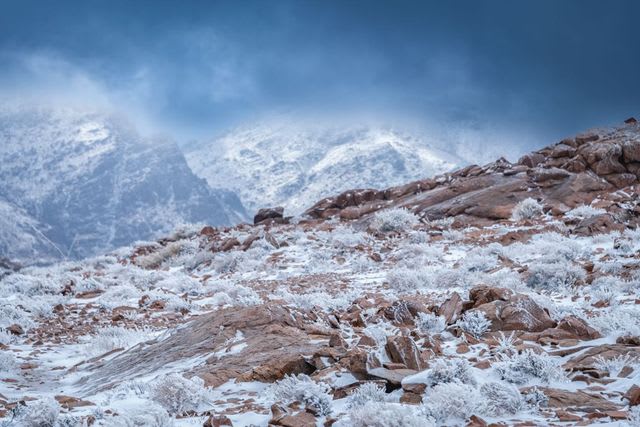 الثلوج تغطي مرتفعات جبال تبوك.. والحرارة تسجل صفراً
