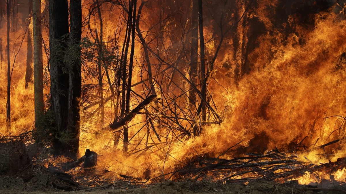 حرائق الغابات تدمر عددا من المنازل في أستراليا ومخاوف بشأن الطقس