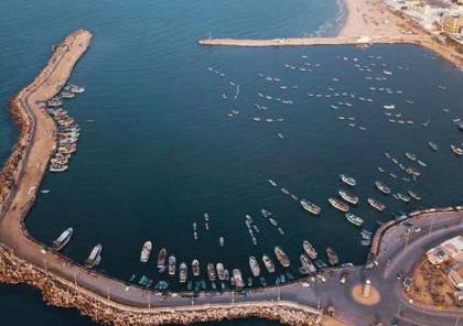 باحث غربي: مشروع الميناء العائم بغزة نفاق كبير والجيوش ليست منظمات إنسانية