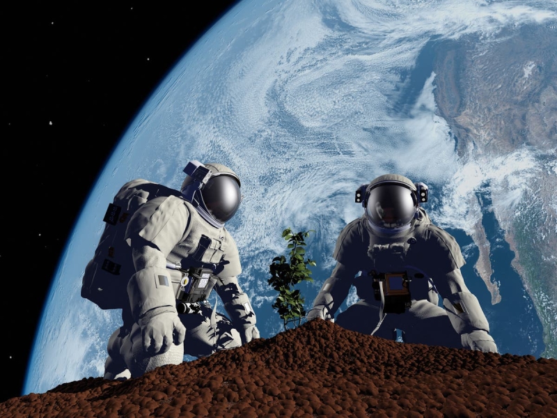 ناسا تعلن عن تجربة لزراعة الخضروات على القمر