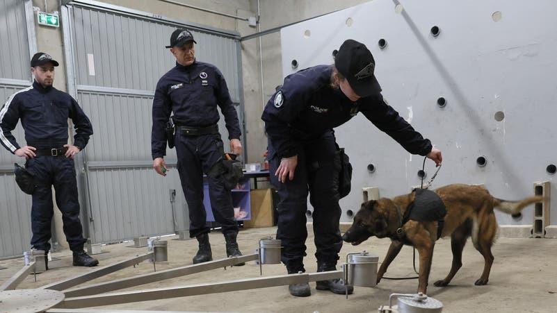رسوب الكلاب في الامتحانات يثير المخاوف قبل أولمبياد باريس