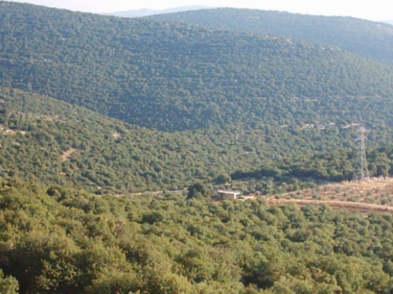 بلدية برقش تدعو المتنزهين للمحافظة على البيئة ونظافة غابة برقش