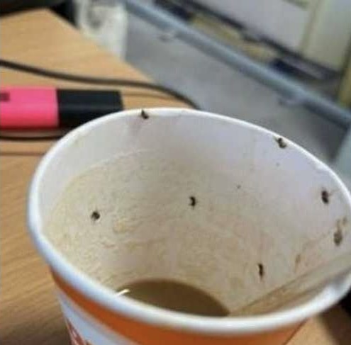 كادت تفقد حياتها في المطار.. السبب قهوة بالحشرات