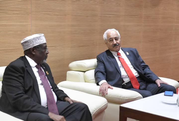 العين داودية يلتقي رئيس مجلس الشعب الصومالي في الجزائر
