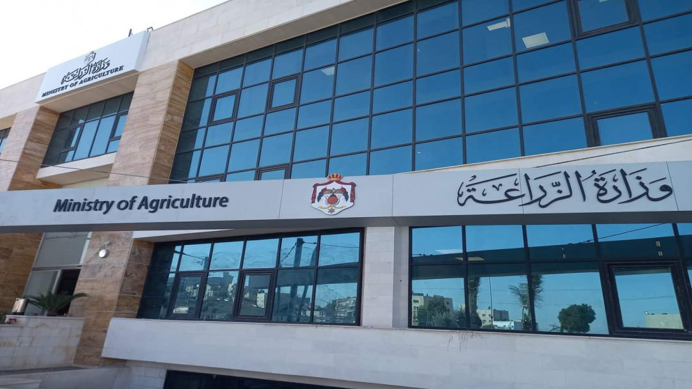 وزارة الزراعة: فتح باب استيراد الليمون لشهرين نظراً لارتفاع الأسعار