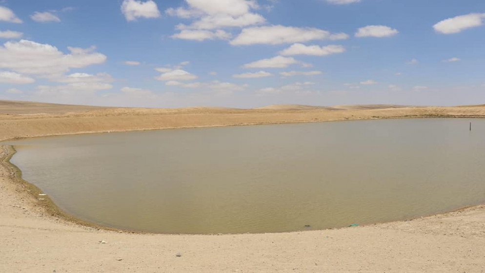 وزارة الزراعة توجه بمضاعفة عدد آبار الحصاد المائي في عجلون وتنفيذ حفائر ترابية