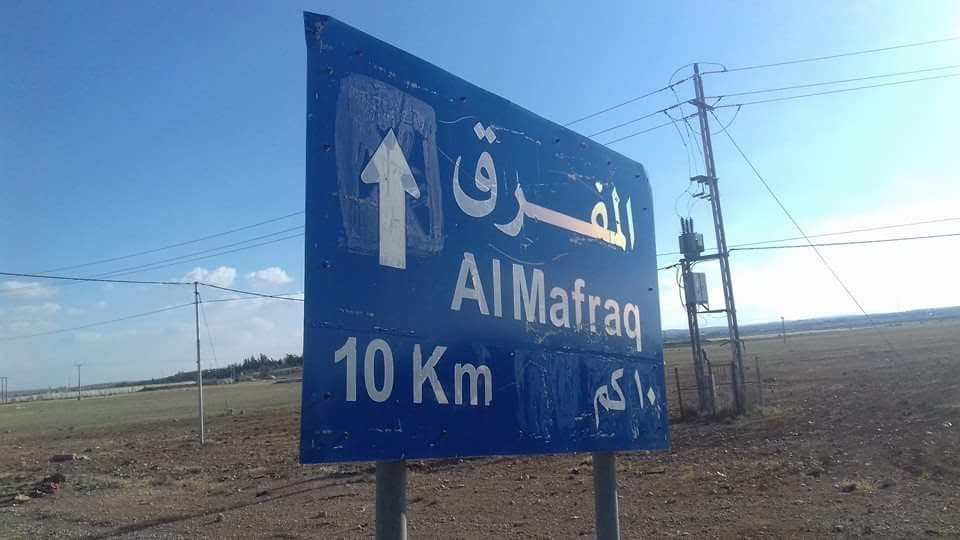 زراعة المفرق تباشر عمليات التلقيح الصناعي للأغنام في المحافظة