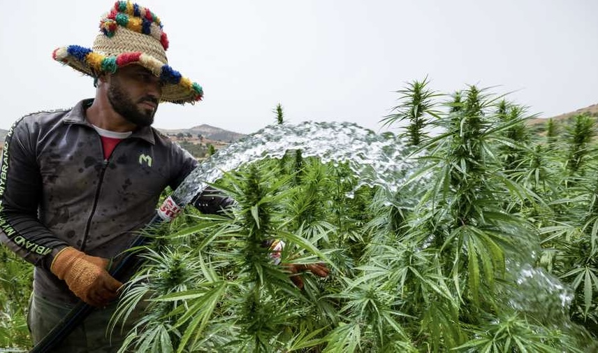 موجة حر غير مسبوقة تضرب المغرب وتحذيرات من مضاعفات صحية خطيرة
