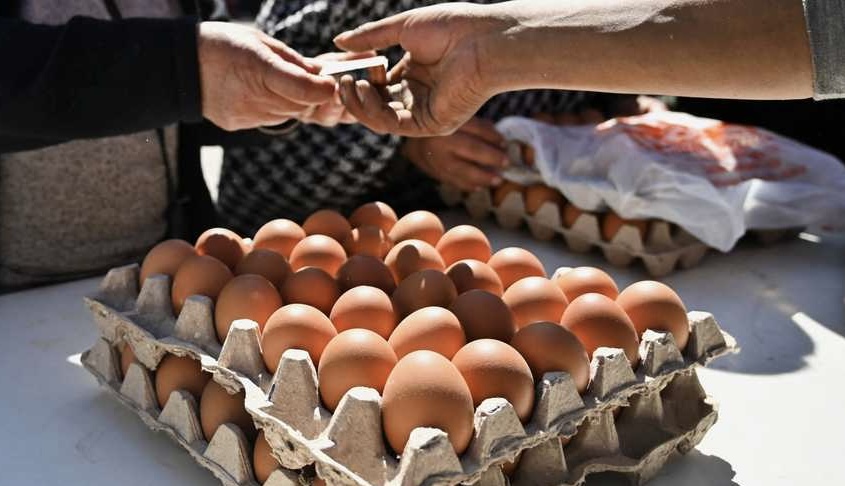تفشي السالمونيلا في 7 ولايات أميركية وسحب 1.7 مليون بيضة من الأسواق