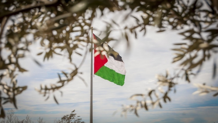 ردود فعل عقب إعلان ماكرون أن فرنسا ستعترف بدولة فلسطين