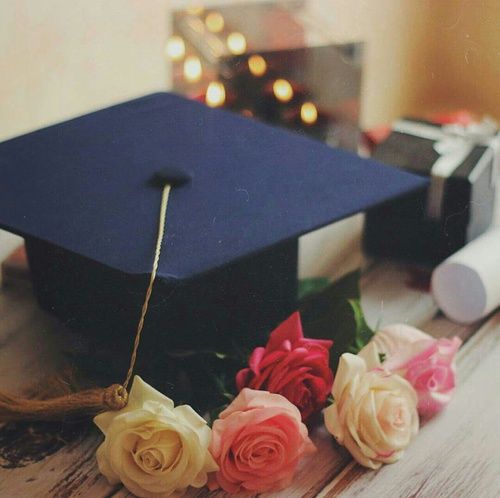 علاء إبراهيم السويلميين يهنئ عمته أم إيهم بتفوق ابنتها ملاك