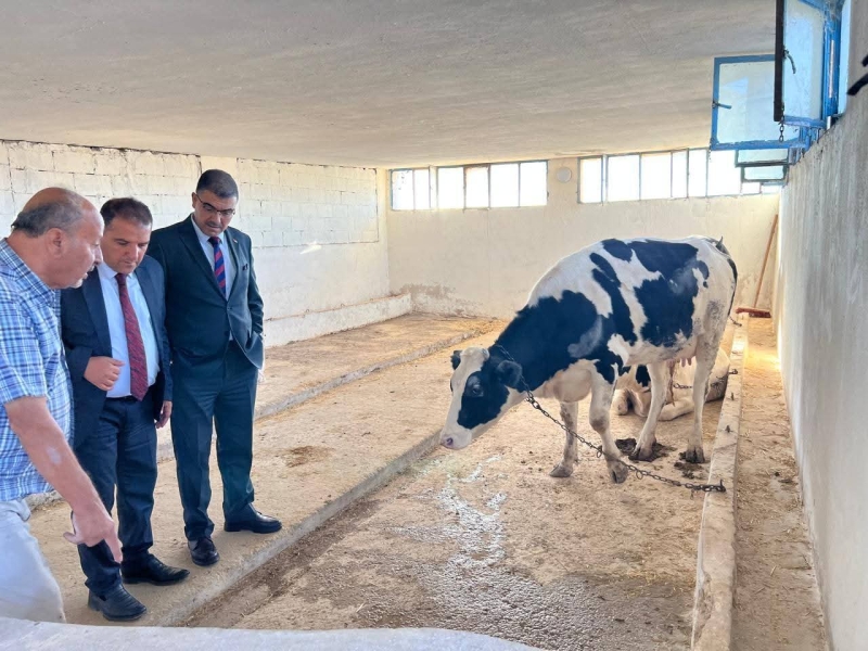 رئيس جامعة عجلون الوطنية يتفقد مزرعة الإنتاج الحيواني التابعة لكلية الزراعة