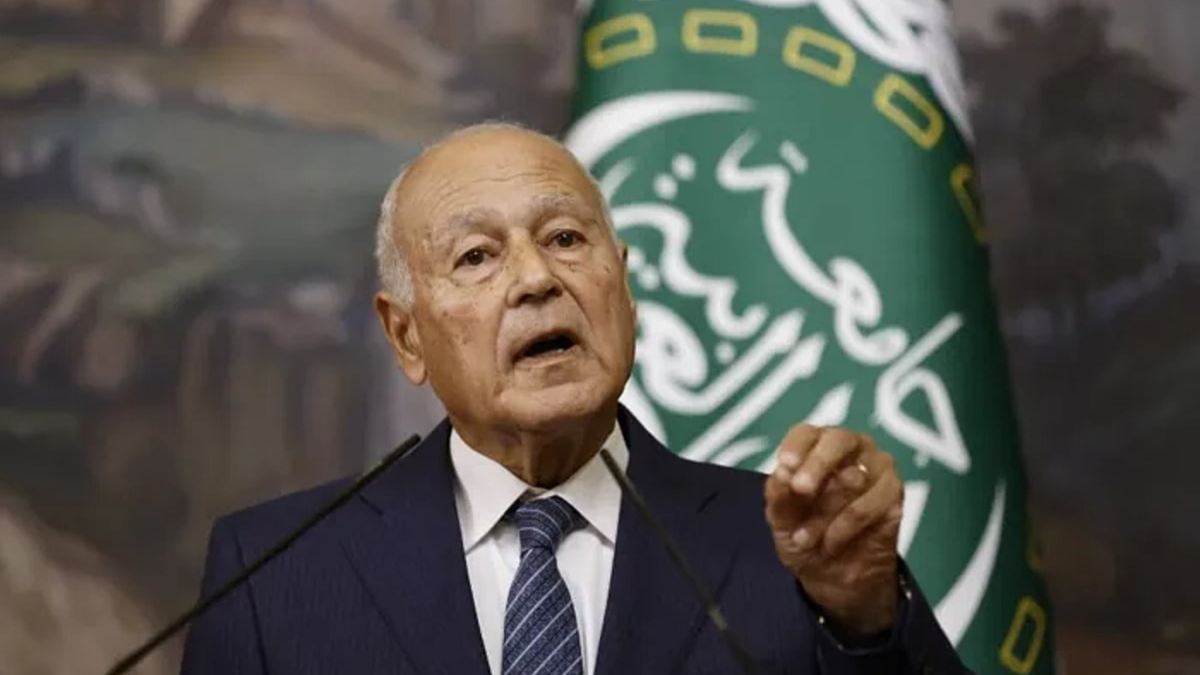 أبو الغيط: قرار مجلس الأمن بشأن غزة بداية الطريق لتحقيق الاستقرار