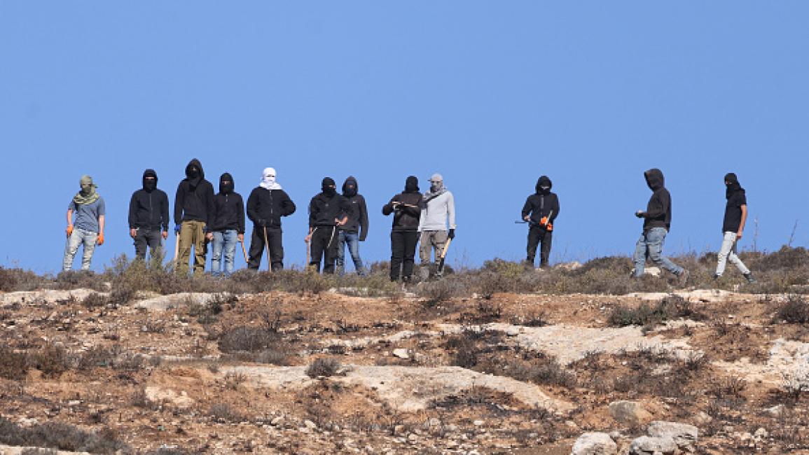 مستوطنون يسممون أغناما في رام الله وينفذون اعتداءات بالخليل