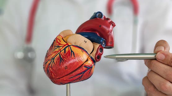 أزمات قلبية وجلطات مفاجئة بين الشباب: ارتفاع بنسبة 30 في الحالات الحرجة