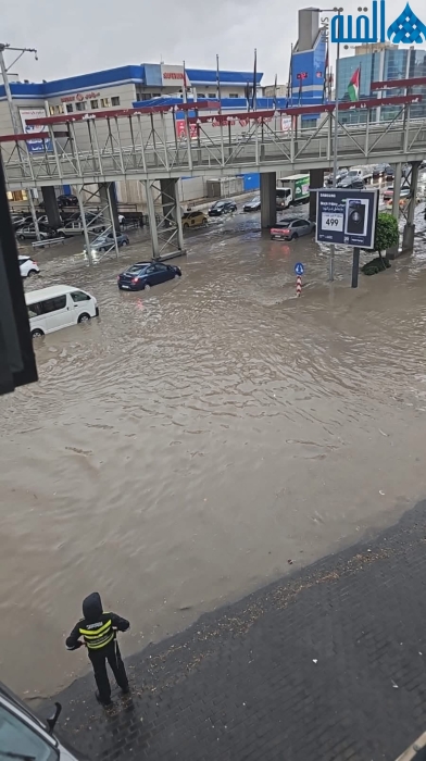 الكلوب: يوضح قواعد التعويض لمركبات الكهرباء والتأمين الشامل