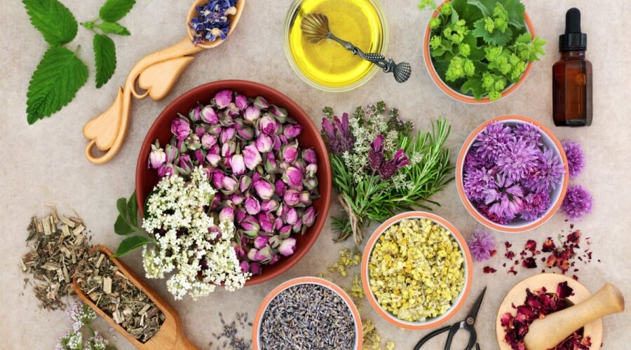 الوقاية من نزلات البرد والرشح… والأعشاب كخط دفاع طبيعي